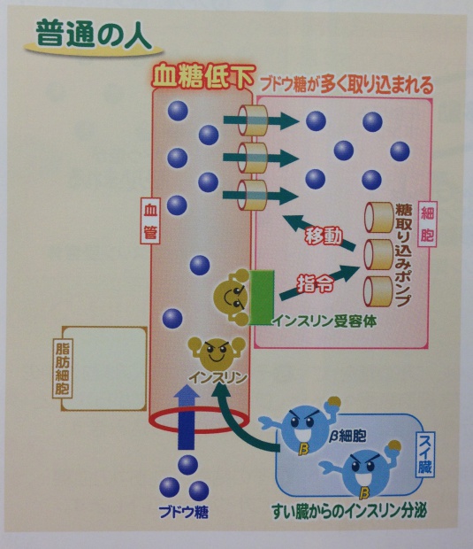 写真 2013-07-01 15 33 56